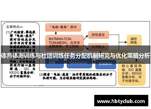 体育体测训练与社团训练任务分配机制研究与优化策略分析